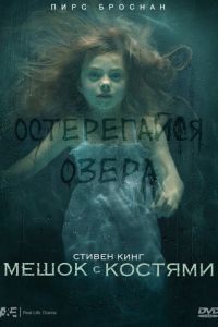 Мешок с костями (2011)