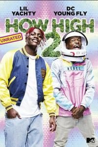 How High 2 (2019)